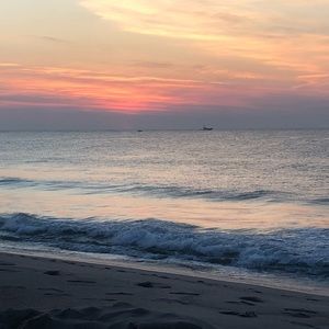 Meet your Posher, Charlotte